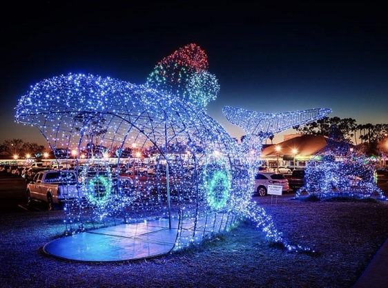 Blue whale lighting installation at night
