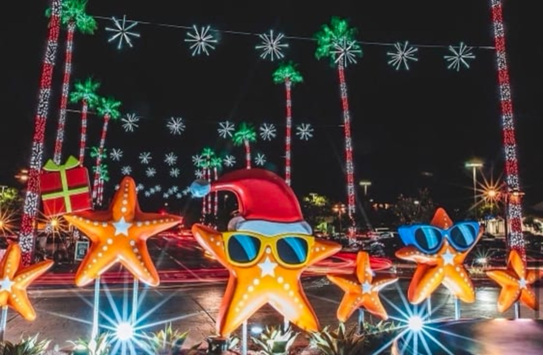 Holiday starfish display with illuminated palm trees